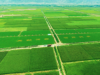 湖南计划到2035年实现永久基本农田全部建成高标准农田