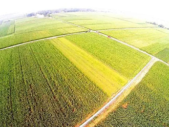 科技助力夏收夏种 筑牢农业丰收基础