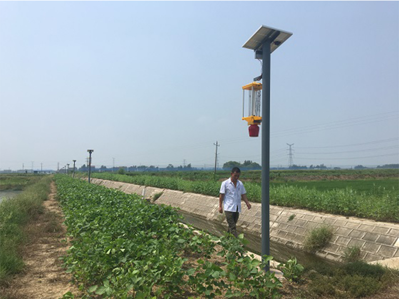 　饲用小黑麦改良盐碱地技术现场观摩会在高台召开